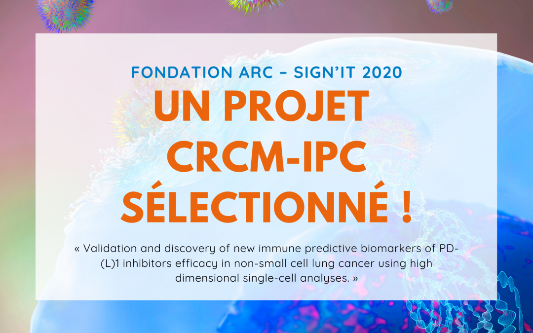 SIGN’IT « Signatures en immunothérapie »