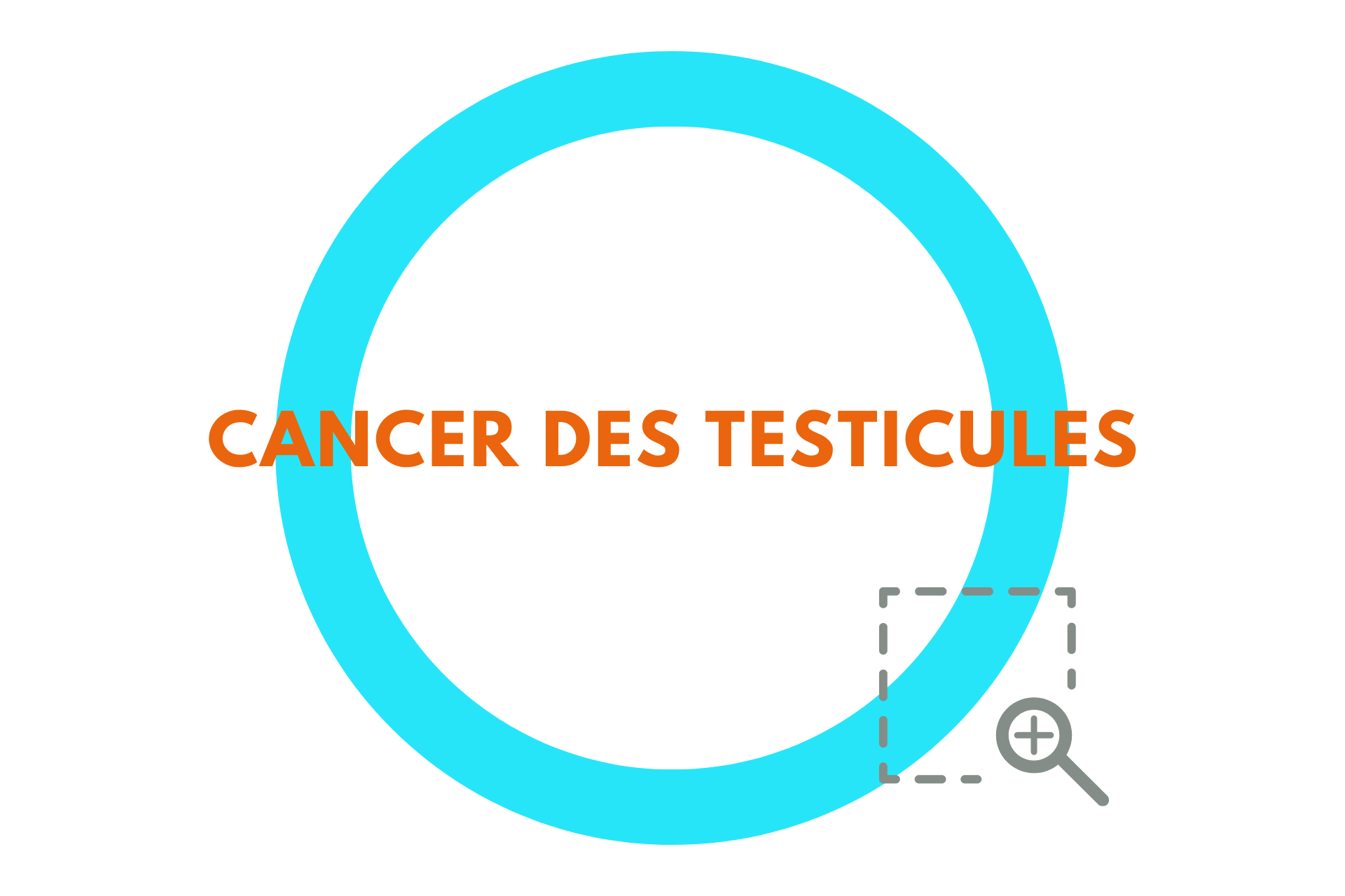 CANCER DES TESTICULES PAOLI CALMETTES MARSEILLE