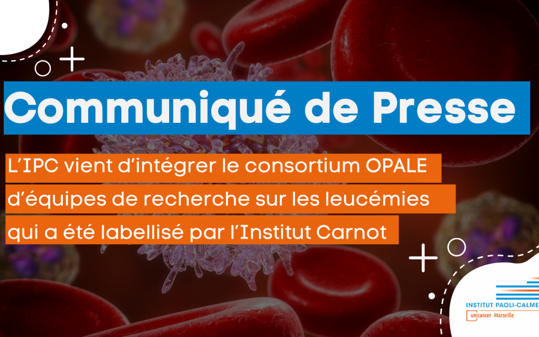 Communiqué de presse : à L’IPC la recherche en hématologie franchit un nouveau palier