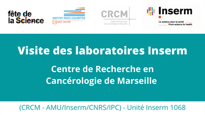 Visite des laboratoires Inserm : le CRCM