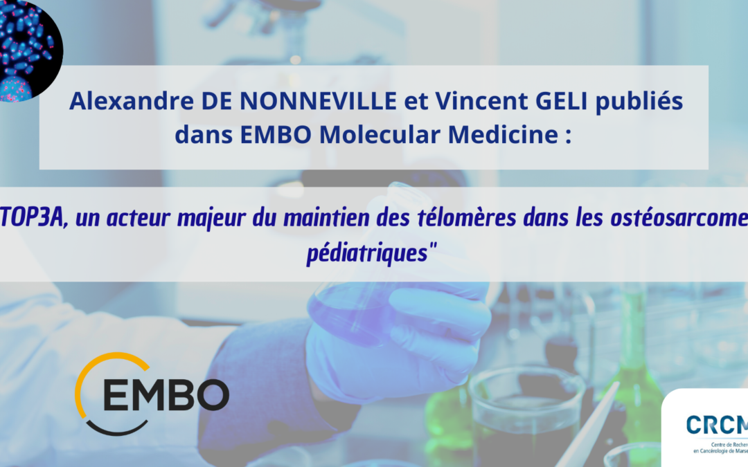 Alexandre DE NONNEVILLE et Vincent GELI publiés dans la revue EMBO