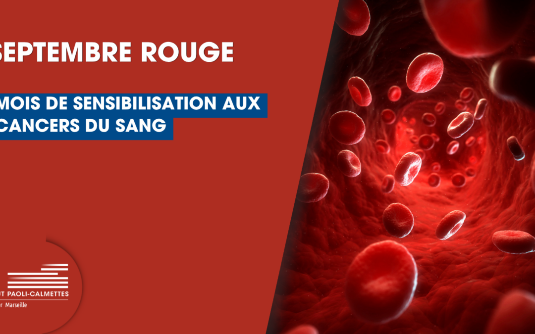 Septembre Rouge : l’IPC se mobilise contre les cancers hématologiques